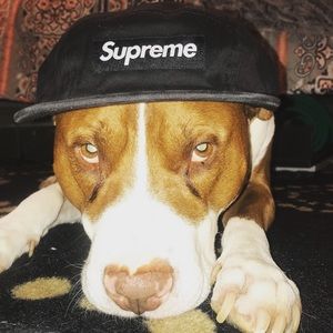 Meet your Posher, Jevon